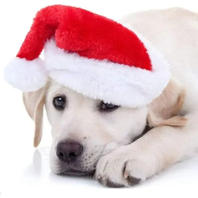 Christmas Pet Santa Hat Red Plush Soft Holiday Cap for Dogs and Cats Festive Party Costume Accessory Cute Photoshoot Decoration