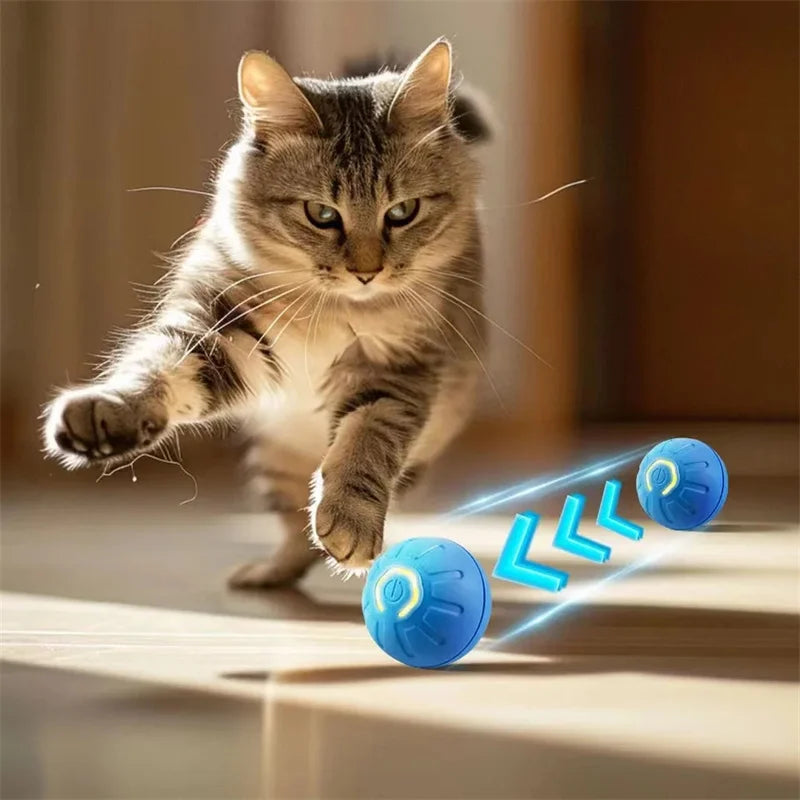 Interactive Dog Toy Ball - USB Automatic Moving Bouncing Toy