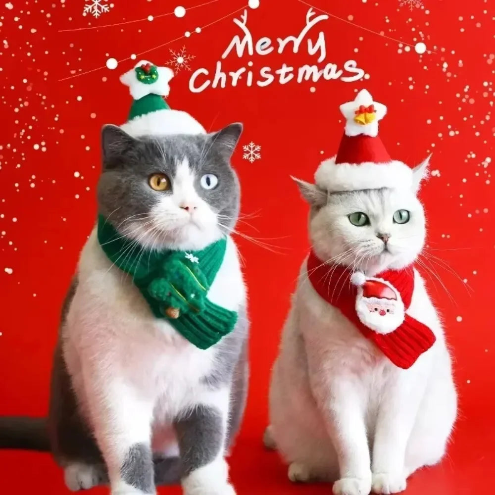 Pet Christmas Costume - Santa Hat & Knitted Scarf Set
